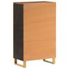 vidaXL Highboard Braun und Schwarz 60x33,5x100 cm Massivholz Mango