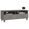 vidaXL TV-Schrank HAMAR Hellgrau 106x40x40 cm Massivholz Kiefer