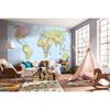 Komar Fotowandbild World Map XXL 368&times;248 cm XXL4-038