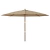 vidaXL Sonnenschirm mit Holzmast Taupe 400x273 cm
