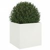 Produkt-Miniaturbild 4 von 11