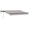 vidaXL Manueller Markisenrahmen mit LEDs 2,5 x 2 m