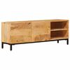 vidaXL Stauraumschr&auml;nke Braun 110 x 30 x 40 cm Massivholz Mango