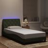 vidaXL Bettgestell mit LED ohne Matratze Hellgrau 100x200 cm Samt
