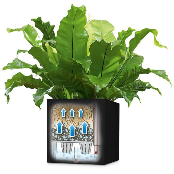 LECHUZA Pflanzgef&auml;&szlig; Canto Color Square 40 Komplett-Set Graphit 13722