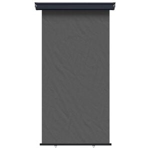 vidaXL Balkon Seitenmarkise 117 x 250 cm 100% Polyester Eisen Stahl