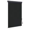 vidaXL Au&szlig;enrollo 120 x 250 cm Anthrazit