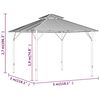 vidaXL Pavillon mit Seitenw&auml;nden & Doppeldach 3x3 m Anthrazit
