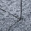 vidaXL Shaggy-Teppich PAMPLONA Hochflor Modern Blau 120x170 cm
