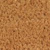 vidaXL Fu&szlig;matte Natur 65x100 cm Kokosfaser Getuftet