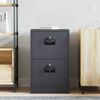 vidaXL Aktenschrank Anthrazit 44 x 50 x 106,5 cm Kaltgewalzter Stahl