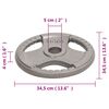 vidaXL Olympische Hantelscheiben 2 Stk. 30 kg Gusseisen