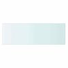 vidaXL Regalboden Glas Transparent 60x20 cm
