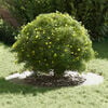 Produkt-Miniaturbild 3 von 9
