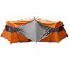 Grey_and_orange