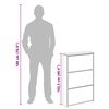 vidaXL Schuhschrank mit 3 F&auml;chern Spiegel Wei&szlig; 63x17x102,5 cm