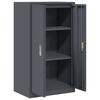 vidaXL Aufbewahrungsschrank Anthrazit 60 x 40 x 105 cm Stahl