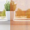 vidaXL Voile Vorh&auml;nge mit &Ouml;sen 2 Stk. Orange 140x300 cm