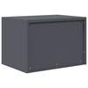 vidaXL Aufbewahrungsschrank Anthrazit 60 x 40 x 40 cm Stahl