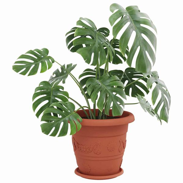 vidaXL Runde Blumenplatte 6 pcs Ziegelrot &Oslash; 27 x 2,5 cm Kunststoff