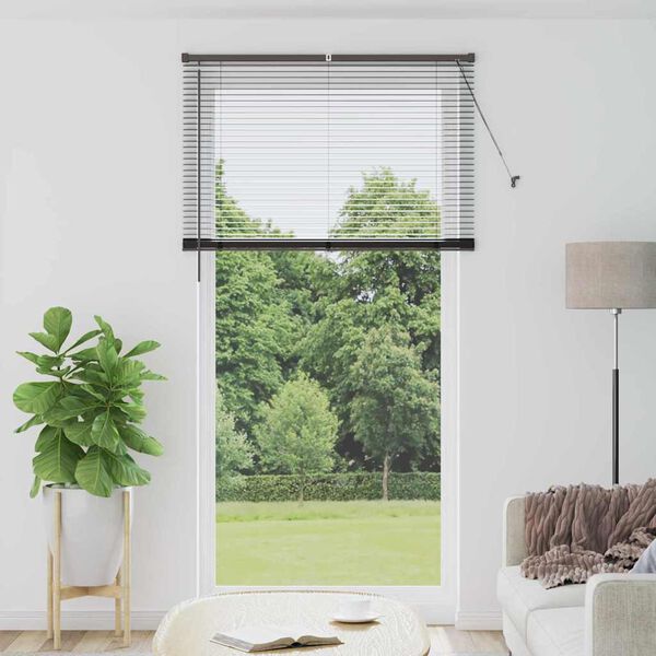 vidaXL Balkenjalousien Schwarz 220 x 120 cm Aluminium