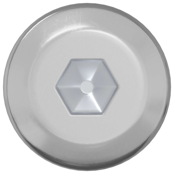 vidaXL Schraube 2 pcs Silber M6 x 120 mm Stahl