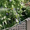 vidaXL Garten-Pflanzgef&auml;&szlig; 3 pcs Braun Stahl