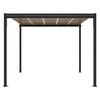 vidaXL Gartenpavillon Anthrazit 3x3 m Aluminium