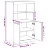 vidaXL Sideboard mit LED-Leuchten Schwarz 60,5x37x100 cm