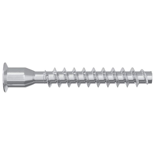 vidaXL Confirmat-Schrauben 2 pcs Silber Metall