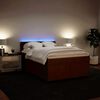 vidaXL Boxspringbett mit Matratze Rosa 160x200 cm Samt