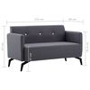 vidaXL 2-Sitzer-Sofa Stoff 115x60x67 cm Dunkelgrau