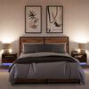 vidaXL Wand-Nachttische mit LED-Leuchten 2 Stk. R&auml;uchereiche