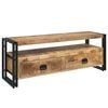 vidaXL TV-Schrank 120x35x45 cm Massivholz Mango