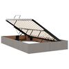 vidaXL Aufbewahrungsbett mit Matratze Taupe 120 x 190 cm Stoff