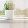vidaXL Voile Vorh&auml;nge mit Lasche 2 Stk. Creme