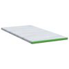 vidaXL Matratzenauflage Wei&szlig; und Gr&uuml;n 90 x 200 cm Jacquard Stoff