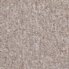 vidaXL Stufenmatten 20 Stk. 56x17x3 cm Hellbraun Halbrund