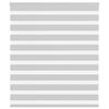 vidaXL Doppelrollo Hellgrau 120x100 cm Stoffbreite 115,9 cm Polyester