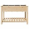 vidaXL Garten-Pflanzgef&auml;&szlig; mit Regal Beige 115 x 59 x 76,5 cm