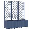 Blue_grey