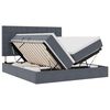 vidaXL Aufbewahrungsbett mit Matratze Dunkelgrau 200 x 200 cm Samt