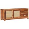 vidaXL TV-Schrank 120x30x45 cm Altholz Massiv
