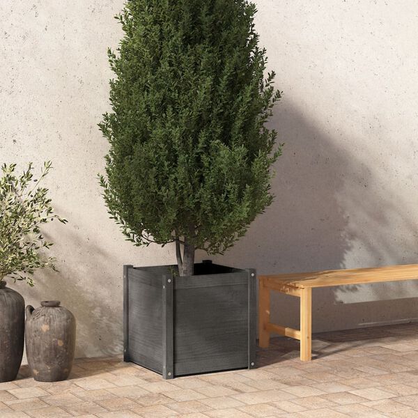vidaXL Pflanzk&uuml;bel Grau 50x50x50 cm Massivholz Kiefer