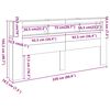 vidaXL LED-Kopfteil Schwarz 220x18,5x103,5 cm Holzwerkstoff