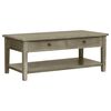 vidaXL Couchtisch 100&times;50&times;40 cm Holz