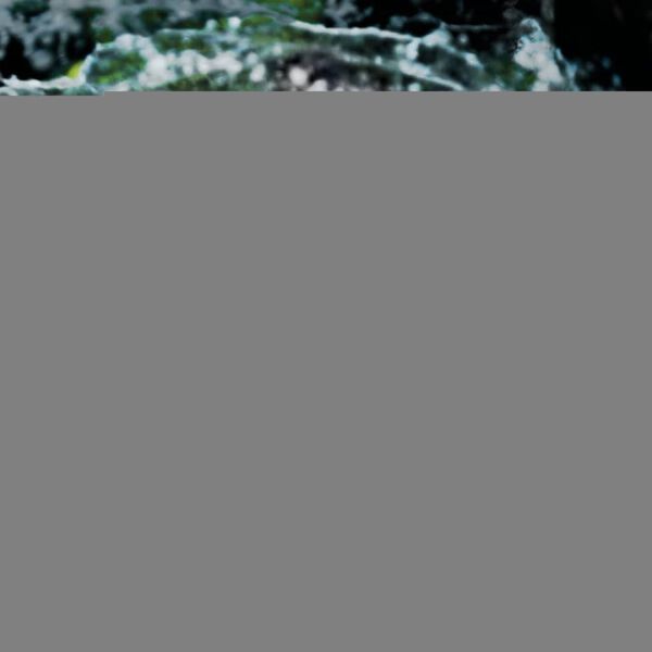 Intex LED-Wasserfontäne für Pools PP 28089