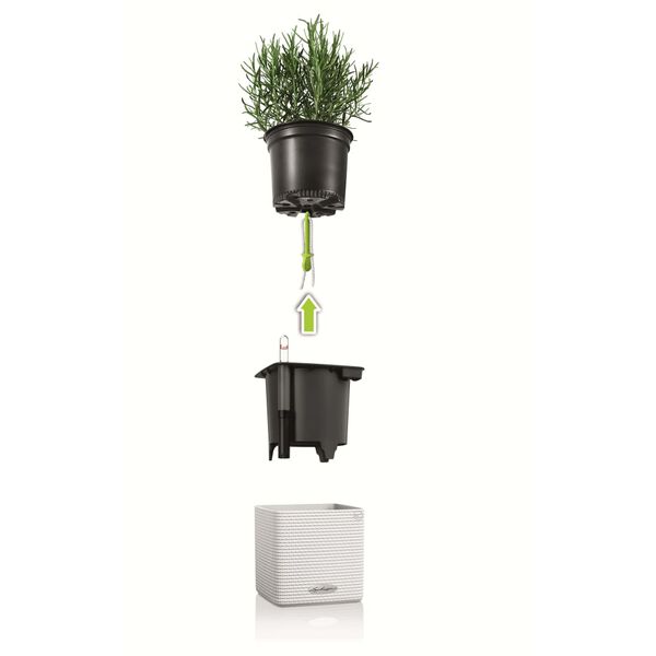 LECHUZA Pflanzgef&auml;&szlig;e 3 Stk. Green Wall Home Kit Wei&szlig;