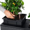 LECHUZA Pflanzgef&auml;&szlig; TRIO Cottage 30 ALL-IN-ONE Granitgrau