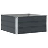 vidaXL Pflanzk&uuml;bel Anthrazit 100 x 100 x 45 cm Stahl